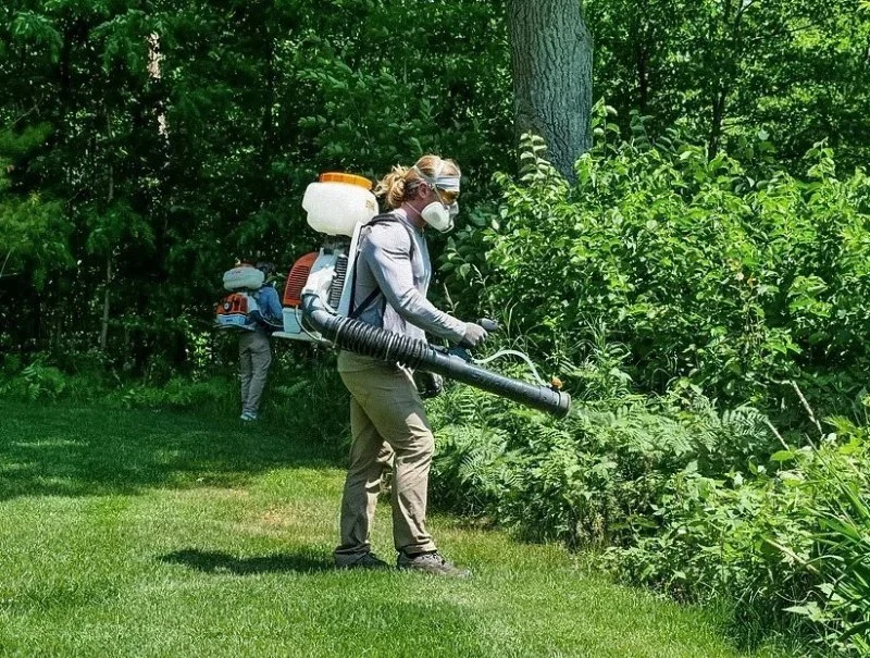 How to Safely Use Foggers for Insect Control