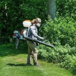 How to Safely Use Foggers for Insect Control