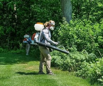 How to Safely Use Foggers for Insect Control