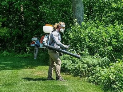 How to Safely Use Foggers for Insect Control