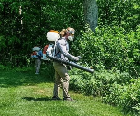 How to Safely Use Foggers for Insect Control