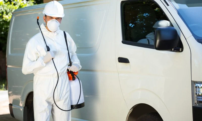 What Happens During a Professional Pest Control Visit