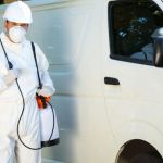 What Happens During a Professional Pest Control Visit