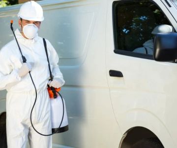 What Happens During a Professional Pest Control Visit