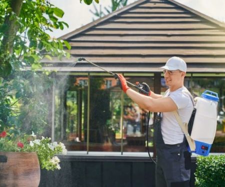 Seasonal Pest Prevention Checklist for Spring