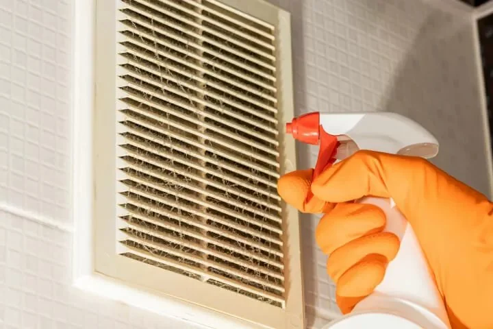 How to Prevent Pest Spread via Air Vents