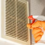 How to Prevent Pest Spread via Air Vents