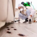 How to Prevent Pest Issues During Home Staging | PestControlHub