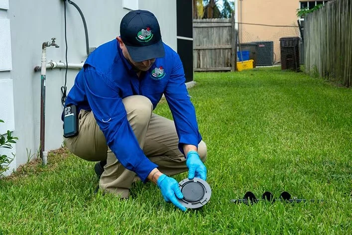 How to Monitor Pest Activity in Voids