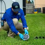How to Monitor Pest Activity in Voids