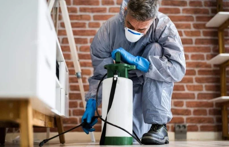 How to Evaluate Residual Pest Control Treatments