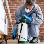 How to Evaluate Residual Pest Control Treatments