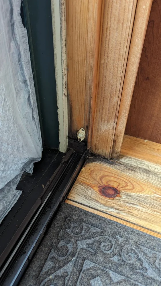 How to Prevent Pest Intrusions at Door Frames: Essential Tips for Homeowners