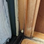How to Prevent Pest Intrusions at Door Frames: Essential Tips for Homeowners