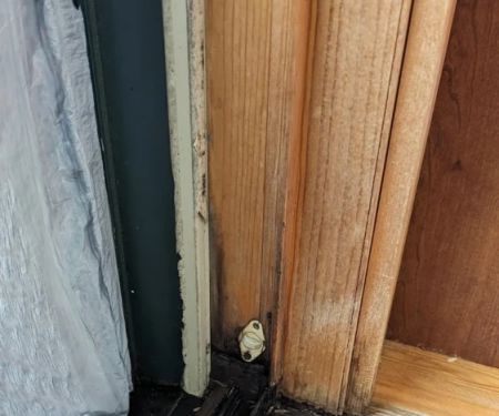 How to Prevent Pest Intrusions at Door Frames: Essential Tips for Homeowners