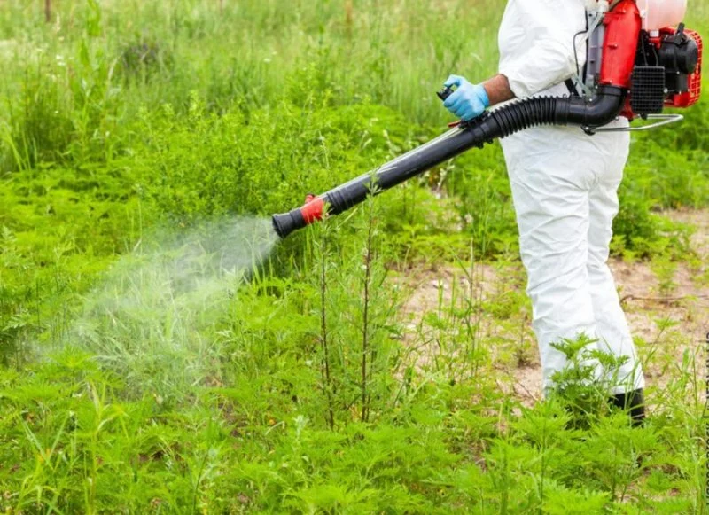 How to Use Low-Toxic Methods Around Sensitive Zones for Pest Control