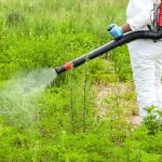 How to Use Low-Toxic Methods Around Sensitive Zones for Pest Control