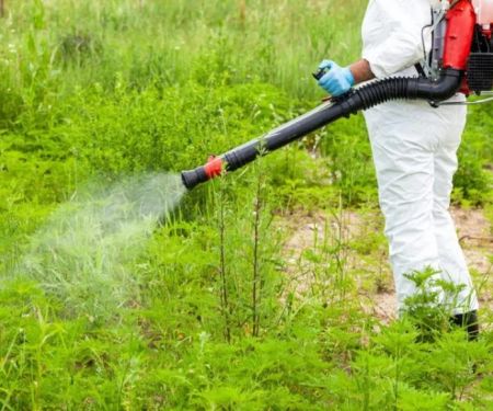 How to Use Low-Toxic Methods Around Sensitive Zones for Pest Control
