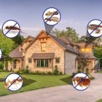 How Pest Control Works in Multi-Family Homes