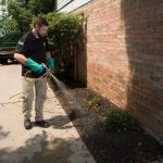 How to Use Preventive Sprays Around Foundations: A Complete Guide for Homeowners