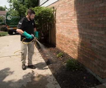How to Use Preventive Sprays Around Foundations: A Complete Guide for Homeowners