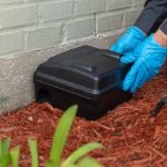 The Role of Bait vs Spray Treatments for Rodents