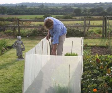 How to Use Mini Barriers to Prevent Pest Entry