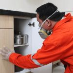 How to Inspect for Pests After Heavy Rain | PestControlHub