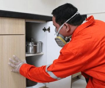 How to Inspect for Pests After Heavy Rain | PestControlHub