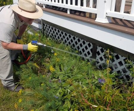 How to Use Barrier Sprays Strategically for Effective Pest Control