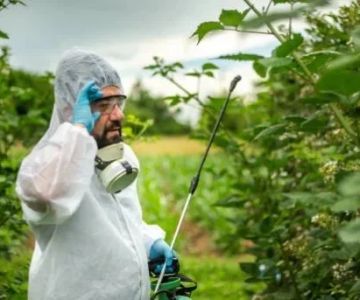 How to Use Biological Control Agents in Home Use