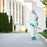 How Often Should You Schedule Pest Control Services?