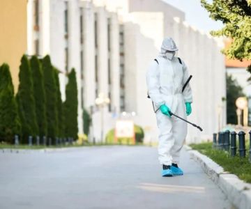 How Often Should You Schedule Pest Control Services?