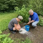 How to Use Diatomaceous Earth for Safe Pest Control