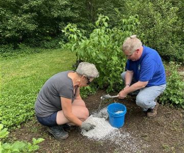 How to Use Diatomaceous Earth for Safe Pest Control