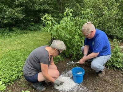 How to Use Diatomaceous Earth for Safe Pest Control