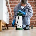 How to Choose the Best Local Pest Control Company in Your City