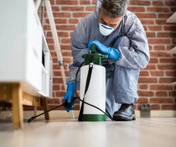 How to Choose the Best Local Pest Control Company in Your City