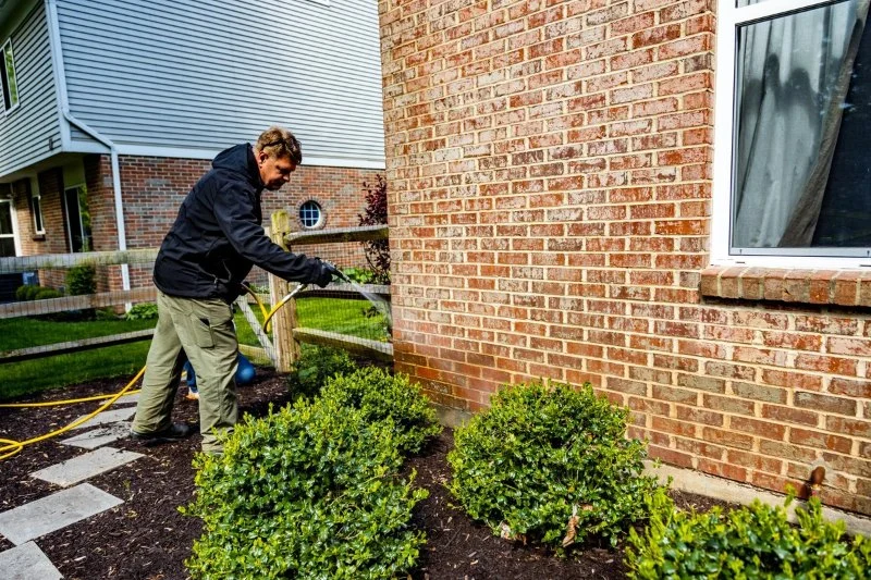 How to Use Barrier Sprays Effectively for Pest Control