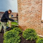 How to Use Barrier Sprays Effectively for Pest Control