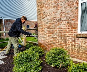 How to Use Barrier Sprays Effectively for Pest Control