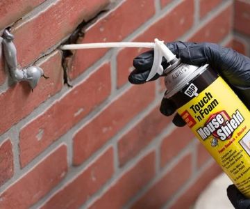 How to Use Deterrents Around Entry Points