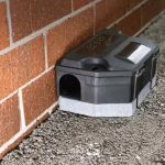How to Use Smart Technology for Rodent Control