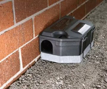 How to Use Smart Technology for Rodent Control