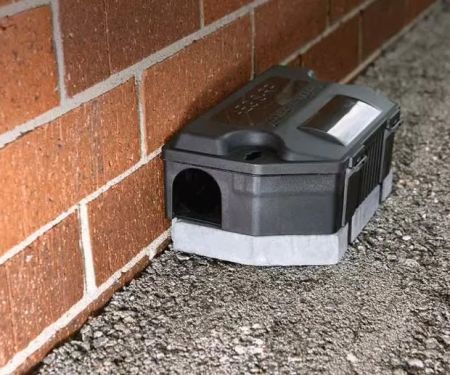 How to Use Smart Technology for Rodent Control