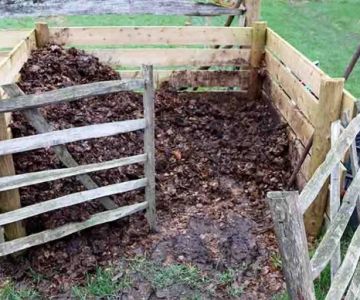 How to Limit Pest Attraction to Compost or Mulch Piles
