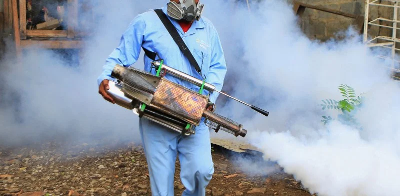How to Safely Use Fumigation Methods