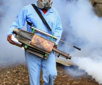 How to Safely Use Fumigation Methods