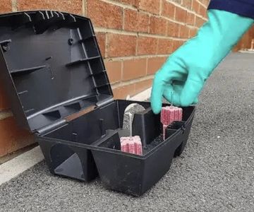 How to Use Bait Stations Safely Around Children