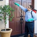 How to Effectively Deal With Pest Pressures in Coastal Areas